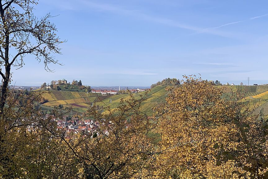 Blick zum Württemberg Weinberge im Herbst