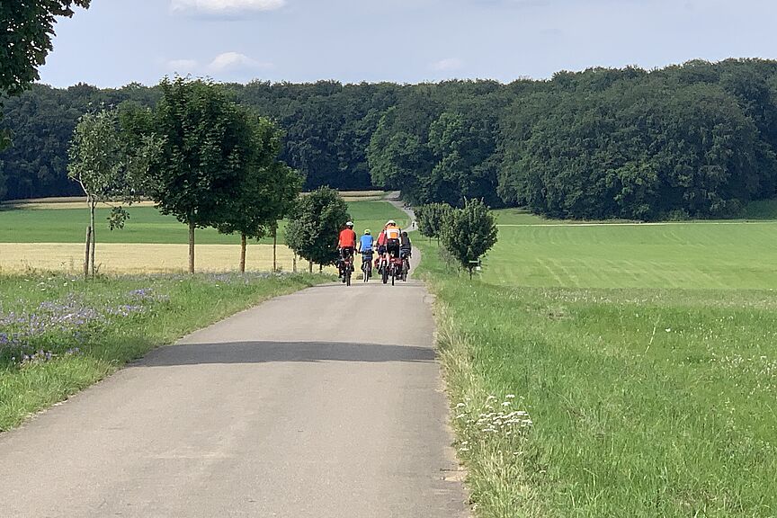 Auf der Albhochfläche