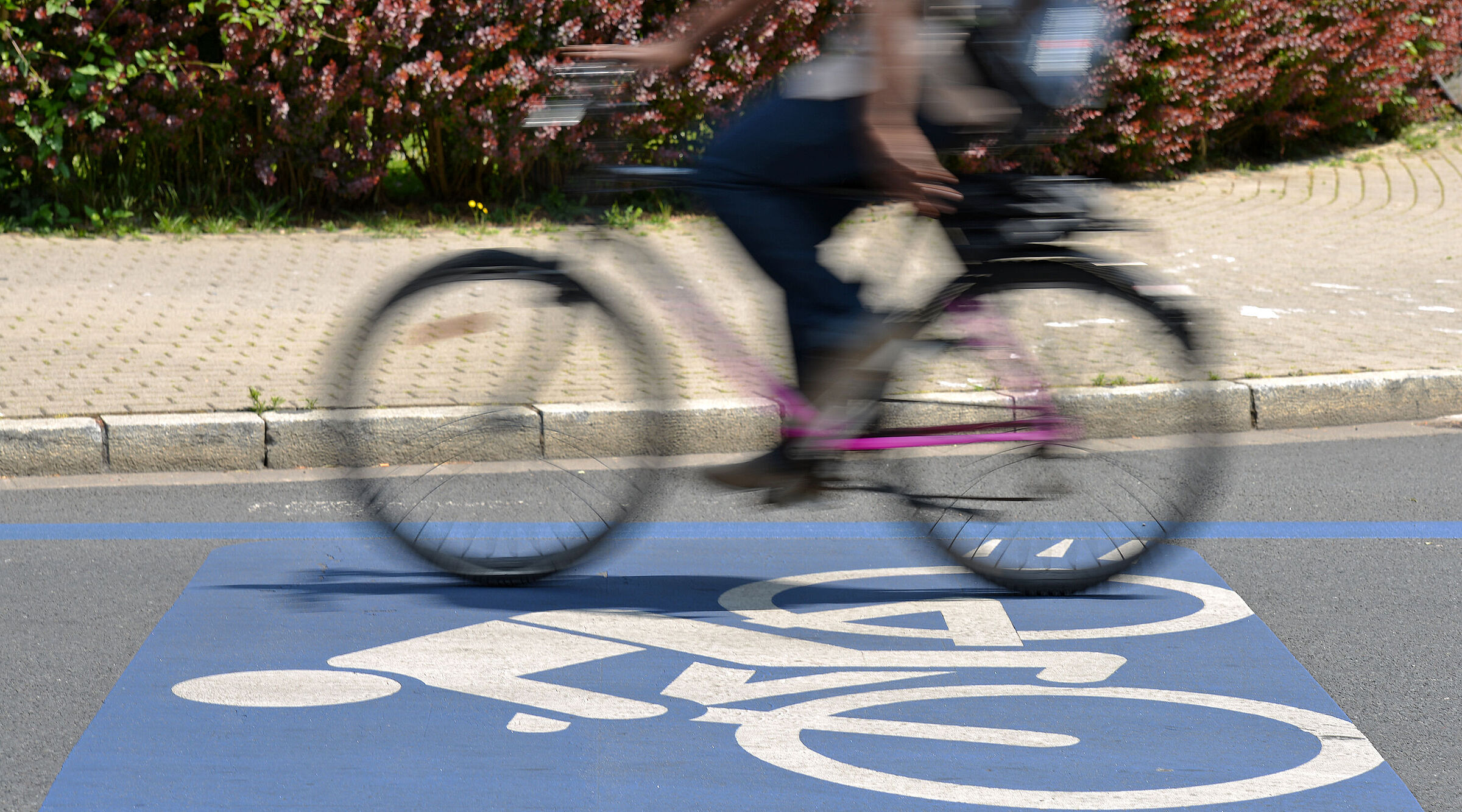 Radschnellwegzeichen auf Asphalt mit Fahrrad
