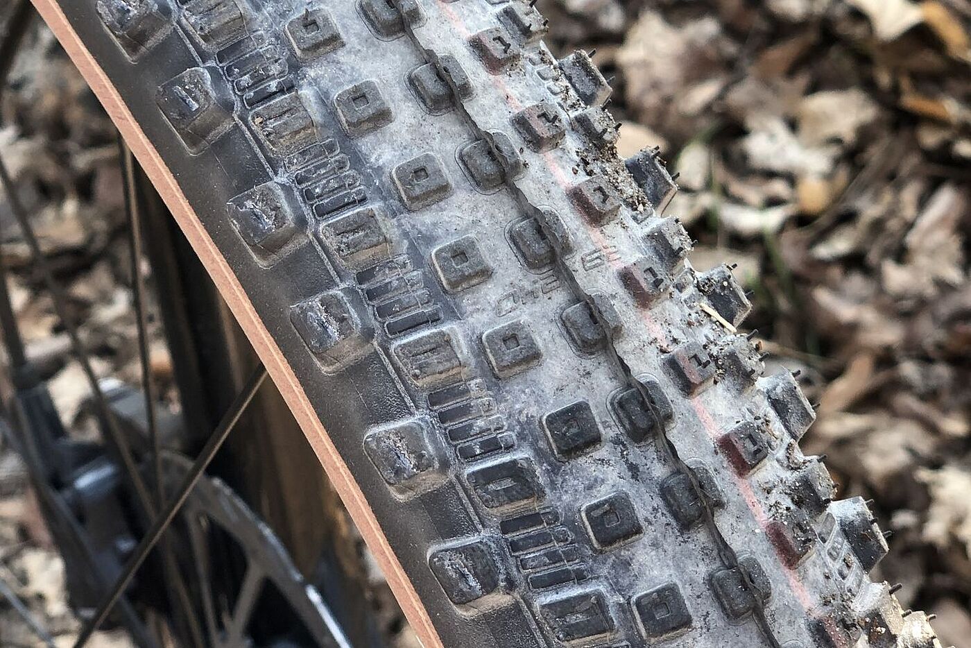 Schrägansicht und Close-up des Mtb-Reifens Rick von Schwalbe.