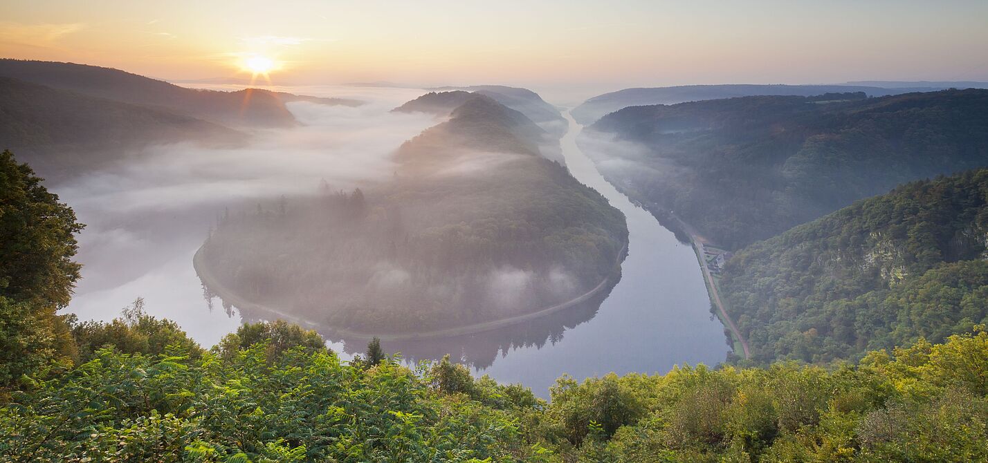 Aussicht auf die spektakuläre Saarschleife. Aussicht auf die Flussschleife der Saar in herbstlicher Landschaft