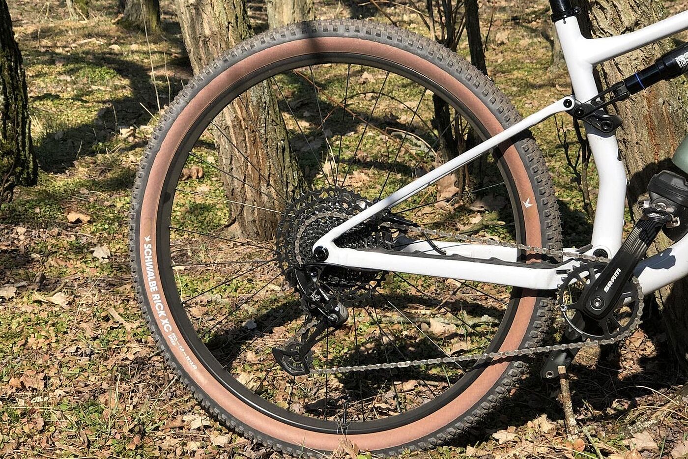 Das Hinterrad eines Mountainbikes, das bei Sonnenlicht an einem Baum lehnt. 