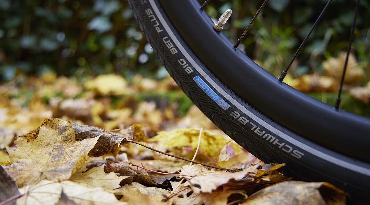 Großaufnahme eines Fahrradreifens, der auf Laub steht. 