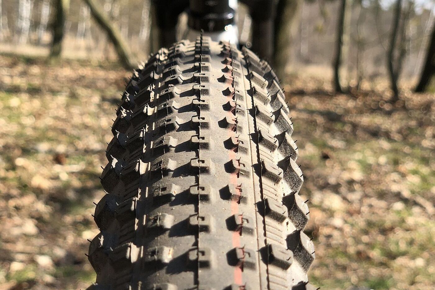 Großaufnahme des Profils des Mtb-Reifens Rick von Schwalbe mit seinen vielen kleinen Stollen.. 
