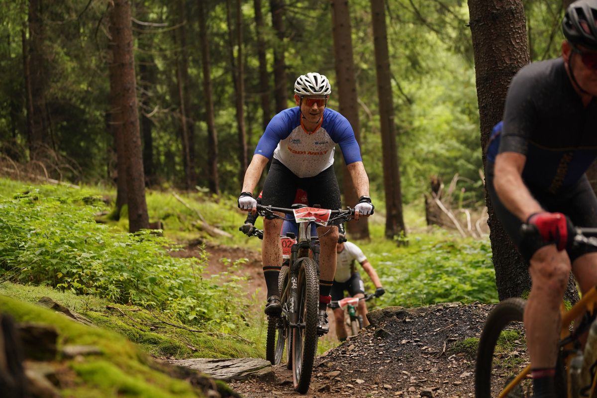 Mountainbiker fahren bergab auf einem Pfad im Wald. 